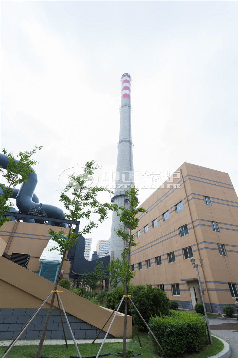40噸燃生物質(zhì)導熱油爐哪個更省錢一點